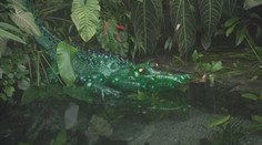 Botanická zahrada v Praze nabízí výstavu z použitých PET lahví