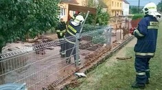 Hasiči po bouřce uklízeli spadlé stromy i bahno ze silnic