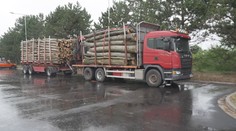 Inspekce zastavila přetížený polský kamion. Řidič dostal mastnou pokutu
