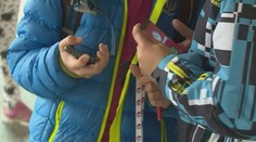 Škola zakázala mobily, školní inspekce ji donutila nařízení stáhnout