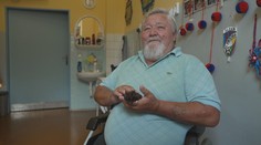 Lounská nemocnice má zvířecí terapeuty. Jeden se dokonce zabydlel na pokoji