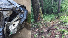 Řidič (15) najel autem do stromu, Adriana (17) nepřežila!