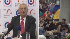 Uprchlíci na pusté ostrovy, navrhl Zeman. Je to nelida, zuří ochránci