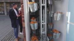 Na náměstí v Brně vyrostl automat na čerstvou zeleninu. Je o ni velký zájem