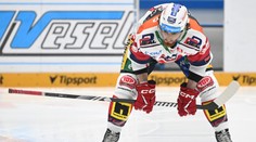 Kometa byla lepší ve využívání šancí. Těžko bych hledal rozdíly, říká Sedlák