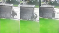Policie dopadla nešiku, který prý chtěl ukrást psa. Ten se vrátil domů. VIDEO