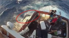 Bizarní smrt: Rybář (47) ulovil mečouna, ten ho zapíchl! VIDEO