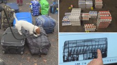 Velká akce celníků! Hledali pašované cigarety v autobusech