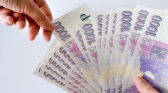 Odměna 10 000 za nahlášení zloděje