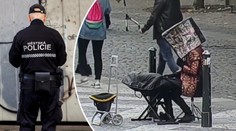"Pseudoumělci" se i přes zákaz objevují. Mají nesmyslné výmluvy