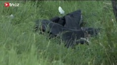 VIDEO: Na Uherskohradištsku zemřel motorkář. Pod kola vběhla srna