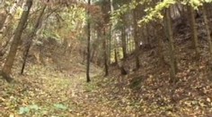 Deštná na Blanensku má po letech zříceninu. Vyhrabali její základy