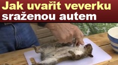 VIDEONÁVOD: Jak uvařit veverku sraženou autem