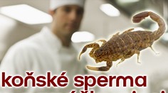Pochoutky od protinožců: koňské sperma a syroví škorpioni