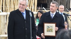 Zeman by Babiše nevydal. Měla by to Sněmovna udělat? ANKETA