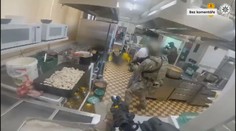 Rodinný gang si pěstováním marihuany vydělal miliony. Hrozí jim až 12 let vězení