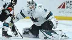 Konec přestupů se blíží, Colorado má Dubnyka, Devils propustili Guseva