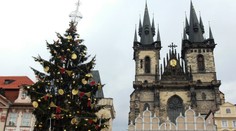 Strom pro Prahu pochází z knížecího lesa u Holoubkova na Plzeňsku