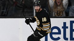 Zacha rozhodl o výhře Bostonu, trefil se i Zohorna. Dostál zářil
