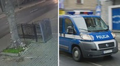 VIDEO: Divoká jízda skončila děsivou nehodou. Pár se psem zachránil strom