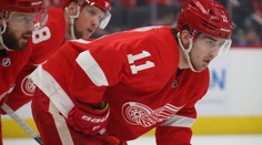 Zadina pálil ostrými, další prohře Red Wings ale nezabránil
