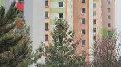 Politici kritizují Piráty kvůli pražským bytům. Žádný jste nepostavili, spílají jim