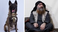 Trump vzdal hold psímu hrdinovi. Zranil se při dopadení vůdce ISIS