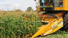 Roundup v Česku definitivně končí! Prý může způsobit rakovinu