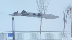 Hrdina zachránil dítě ze zamrzlého jezera, sám později zemřel