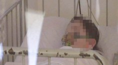 Na prasečí chřipku zemřelo za týden 11 lidí, celkem už 67