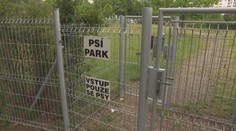 V Mladé Boleslavi řeší falešné cedule. Ohlašují zrušení psího parku