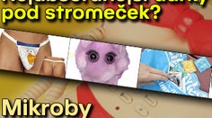 Nejabsurdnější dárky? Nafukovací ovce, vodka v tabletě