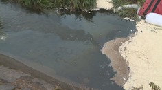 Toxická látka zasáhla loni i Berounku, vodárna žádá ohromné odškodnění