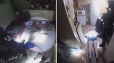 Skupinku zlodějů aut se podařilo chytit, měl mezi nimi být i policista
