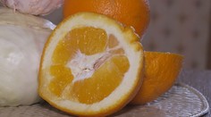 Pilulky nejsou potřeba. Rady, jak svému tělu dodat z jídla důležité látky