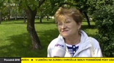 Moravští zemědělci smutně obhlíží škody napáchané divokou vodou. Půjdou do milionů