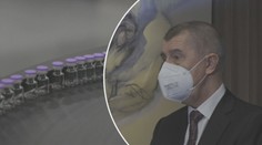 Babiš byl na návštěvě Rakouska, řešil přerozdělování vakcín v EU
