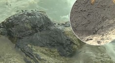 Azurové pobřeží ve Francii zalil černý hnus. Pláže jsou zavřené!