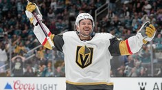 Hertl gólem a asistencí pomohl k obratu. Premiérově se trefil i Faksa