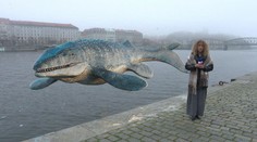 Pravěcí mosasauři nelovili jen v oceánech, ale i v řekách, zjistili vědci