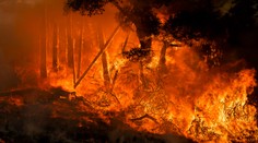 V Kalifornii evakuují další města. Obří požáry se šíří a polykají desítky domů