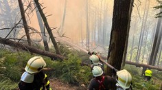 Hašení Českého Švýcarska bude extrémně drahé. Prodělá i cestovní ruch