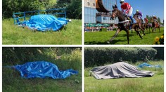 Děsivé dostihy ve Slušovicích: Tři koně utratili, těla odklidí až v pondělí!
