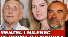 Menzel i milenec se střídají u miminka