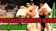 Šéf japonských sumistů rezignoval. Kvůli marihuaně