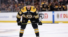Zacha se opět trefil, k bodům ale nepomohl. Dvě nahrávky má Hertl