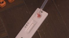Vědci vyvíjí průlomový test na rakovinu. V lékárnách by si ho mohl koupit každý