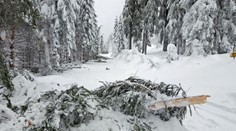 Na horách jde o život! Vstup do některých lesů už úplně zakázali