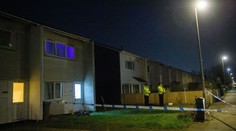 Pes napadl v Anglii na zahradě u domu čtyřletou holčičku, dítě zemřelo