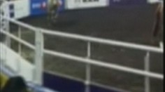 VIDEO: Rozzuřený býk napadl diváky při rodeu